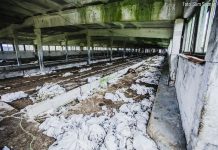 Purilast leitud veisekorjused tõstatavad mitmeid küsimusi (häirivad fotod!)