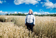 Kuusikul möödub esimestest põllumajanduskatsetest 95 aastat