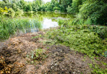 Haljastusjäätmete koht pole veekogu kaldal