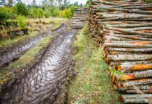 Pöördumine Eesti Vabariigi kaitse- ja keskkonnaministri ning õiguskantsleri poole