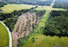 Matsi-Kärneri tammiku kaitse on jälle küsimärgi all