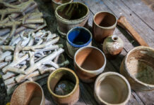 Rahvusvaheline keskkonnakunsti sümpoosion tuleb taas