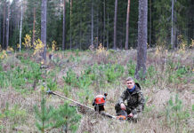 Rohelised Sõnumid: Mati Sepp: Eesti metsa tulevik sõltub sellest, kui palju on ökoloogiliselt toimivat metsa
