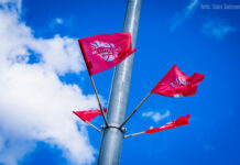 Rapla korvpall: Investeering elukeskkonda, mitte kulu Rapla vallale