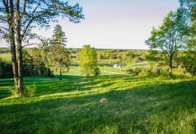 Kehtna vald kavandab Paluküla Hiiemäele rahvusvahelist kontserti