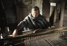 Kaks kangakudujat mahuvad ühte muuseumisse