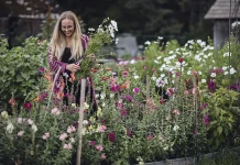 Raplamaa parimad ettevõtted