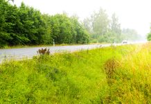 Mitmed Raplamaa alad jäävad suvel niitmata