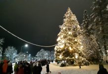 Rapla jõulukuusk lõi tuledes särama