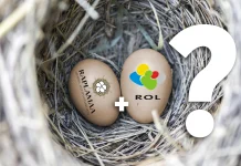 ROL ja RAEK jätkavad eraldi asutustena