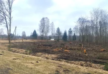 Järvakandis tehti kümnel hektaril raietöid