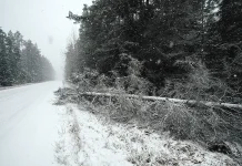 Rapla piirkond sai tormiga tugevasti pihta