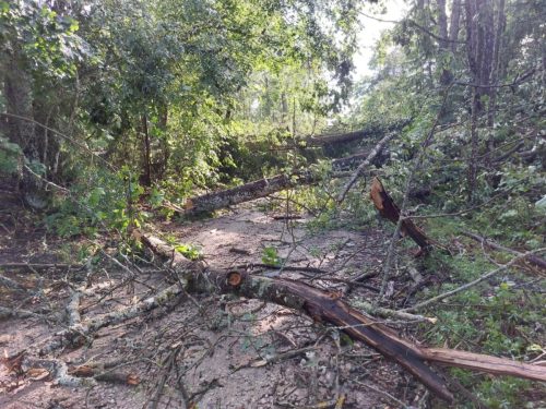 5ebcdc1c-6a8c-46cb-8f0f-c1b9a0c3380c