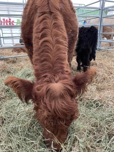 652cab31-ac8c-483d-956a-b151e4918fa9