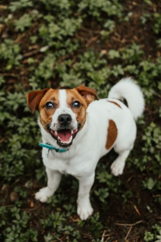 CAM06504-Enhanced-NR