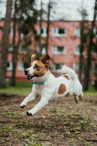 CAM06770-Enhanced-NR