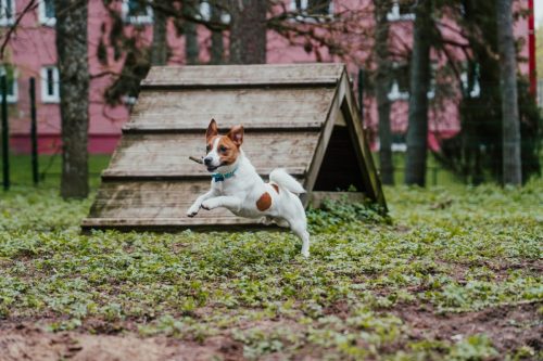 CAM07053-Enhanced-NR