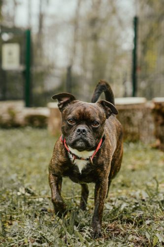 CAM07606-Enhanced-NR