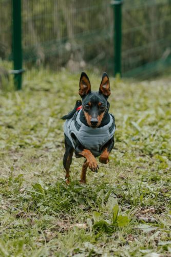 CAM07627-Enhanced-NR