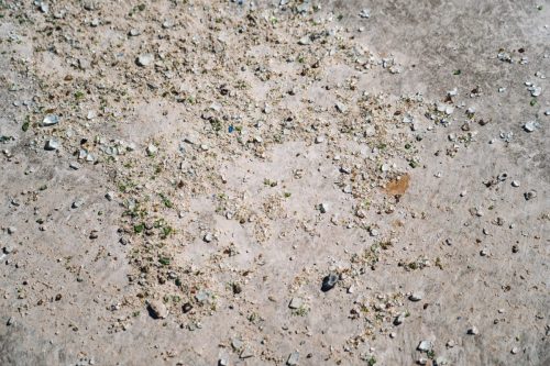 GreenGravels-8