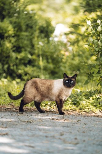 Kaiserslauterni delegatsioon -1