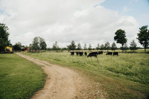 Raudsepa-3