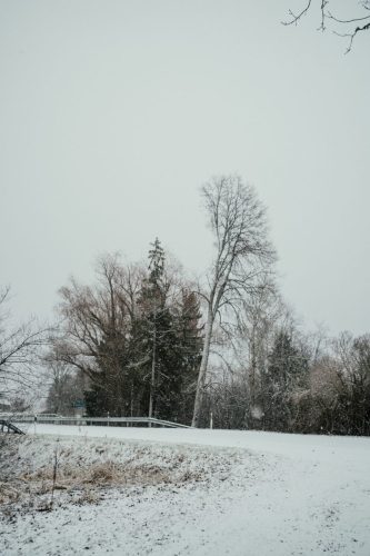 Velise_CK-18