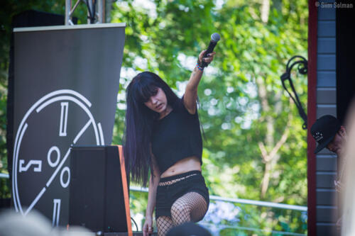 Vigala hard rock laager hrl_021