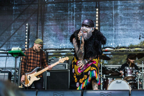 Vigala hard rock laager hrl_085