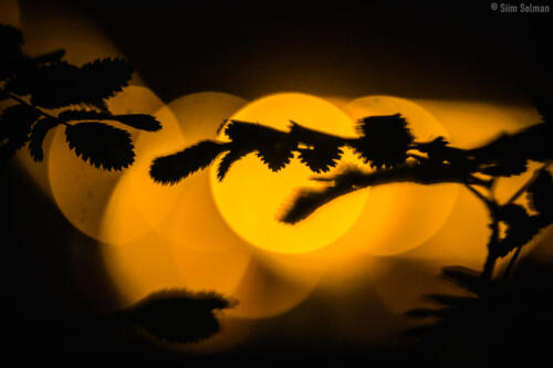 Vigala hard rock laager hrl_148