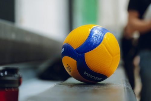 Võrkpall-1
