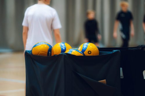 Võrkpall-11