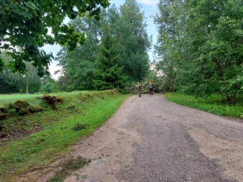 afbf861d-3106-4fc3-ba21-11e0dae752e8