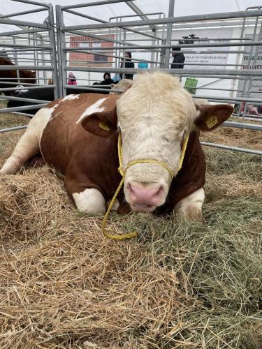 cdbacb0c-e7a6-4678-b088-782d90c28d40