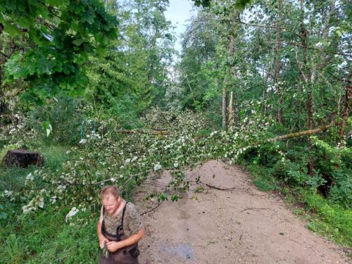 d346462b-e87e-49a5-bd64-bca8b5634ebc