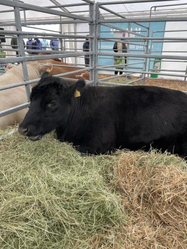 da676559-3fb4-40f3-adcc-4b71abc55845