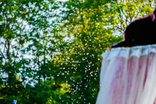 mäng on väikese inimese töö_48