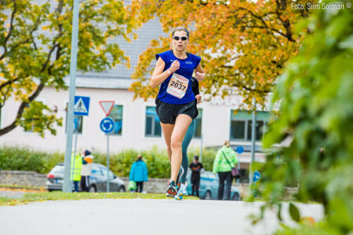 selveri_suurjooks102