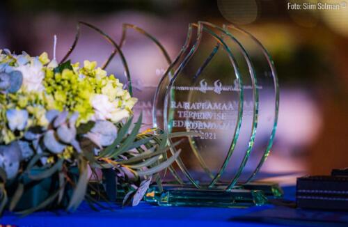 Raplamaa redel foto Siim-Solman 001