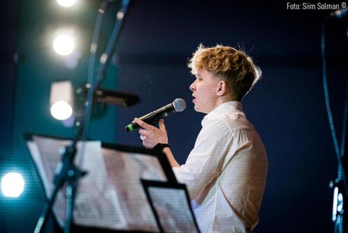 Raplamaa redel foto Siim-Solman 022