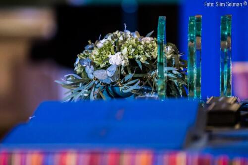 Raplamaa redel foto Siim-Solman 030